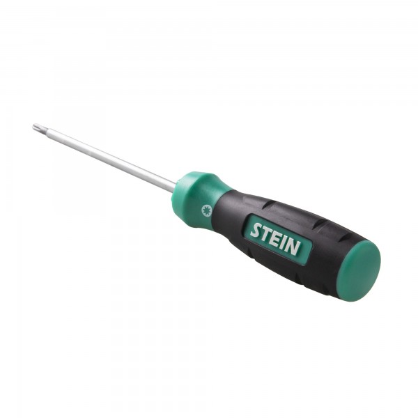 Destornillador p/diam. torx t-20x100mm.